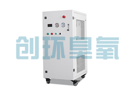 青岛石斑鱼养殖水质调控完整指南:臭氧发生器配置与操作步骤